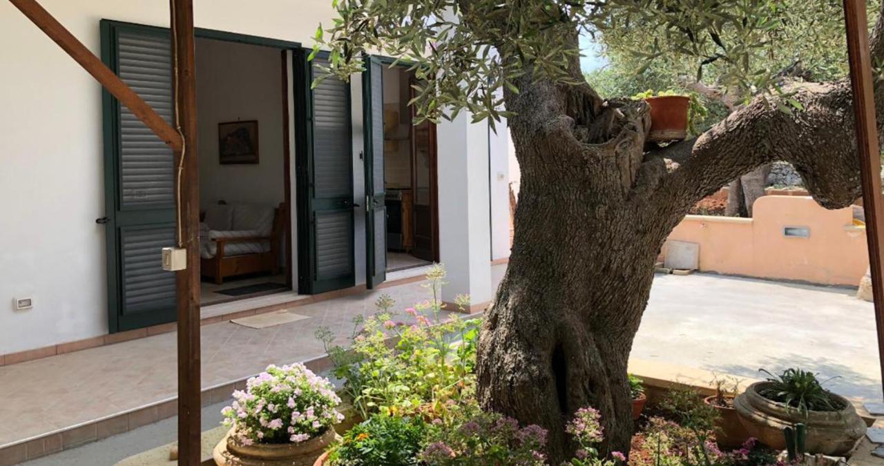 Casa La Manna By A&B Homes Leuca Santa Maria di Leuca Exterior photo
